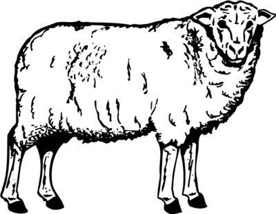 SHEEP002