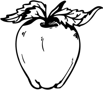 FRUIT021