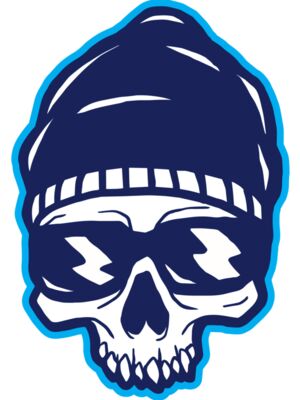 Elements Skulls logo template 137
