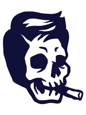 Elements Skulls logo template 174