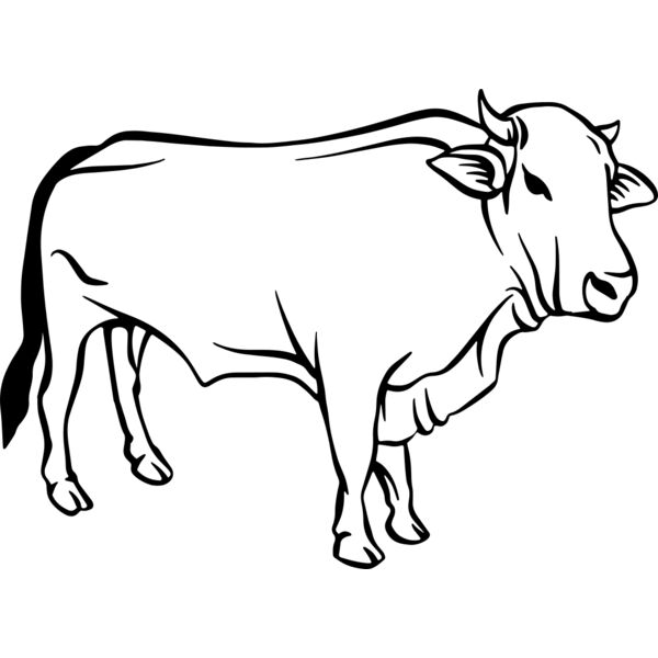 Cow   Clipart 2 Thumbnail